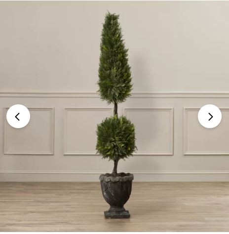60" H x 12" W x 12" D Boxwood Topiary in Decorative Vase K7693