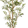 77'' Faux Olive Tree in Planter