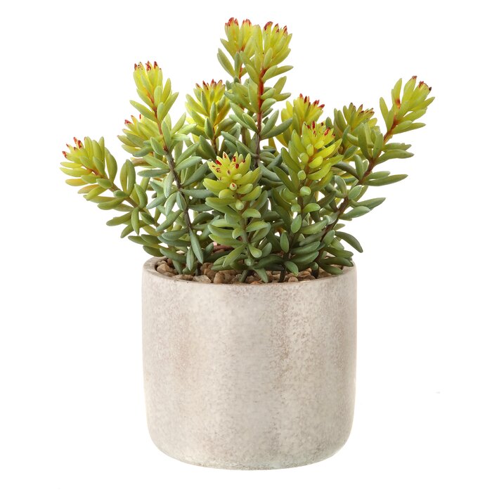 8'' Artificial Agave Succulent in Pot EE533