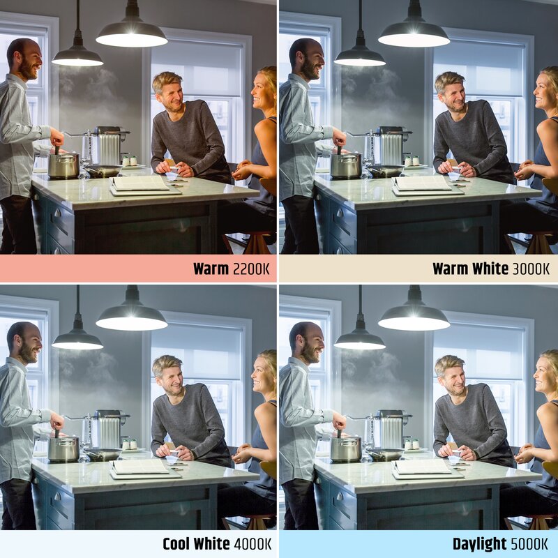 8 Watt (60 Watt Equivalent), A19 LED, Dimmable Light Bulb, Daylight (5000K) E26/Medium (Standard) Base (Set of 2) pt206