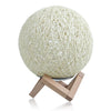 9.84'' Wood Table Lamp