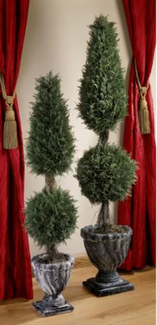 60" H x 12" W x 12" D Boxwood Topiary in Decorative Vase K7693