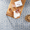 Home Dynamix Nicole Miller Patio Country Danica Indoor/Outdoor Area Rug 7'9