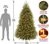 7.5' Dunhill Fir Artificial Christmas Tree with 700 Dual Lights (Soft White/ Multicolor) (#K5700)