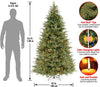 6.5' Frasier Grande Green Fir Artificial Christmas Tree with White/Multi-Color Lights (#K5734)