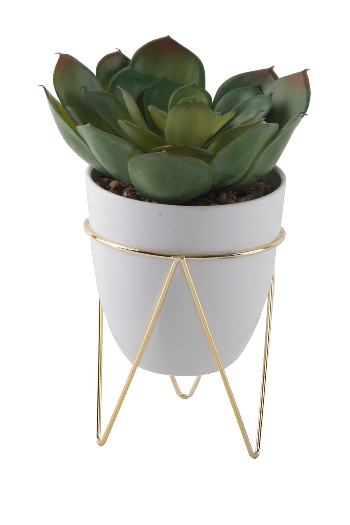 4.75" Succulent in Pot, White/Gold (#K5565)