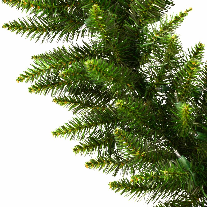 9' Douglas Fir Garland QL177
