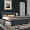 Load image into Gallery viewer, Kelly Upholstered Storage Platform Bed #8088