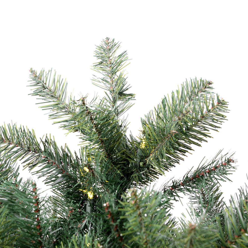 6.5' x 32" Salem Pencil Pine  with 300 LED Warm White Lights (#K5461)