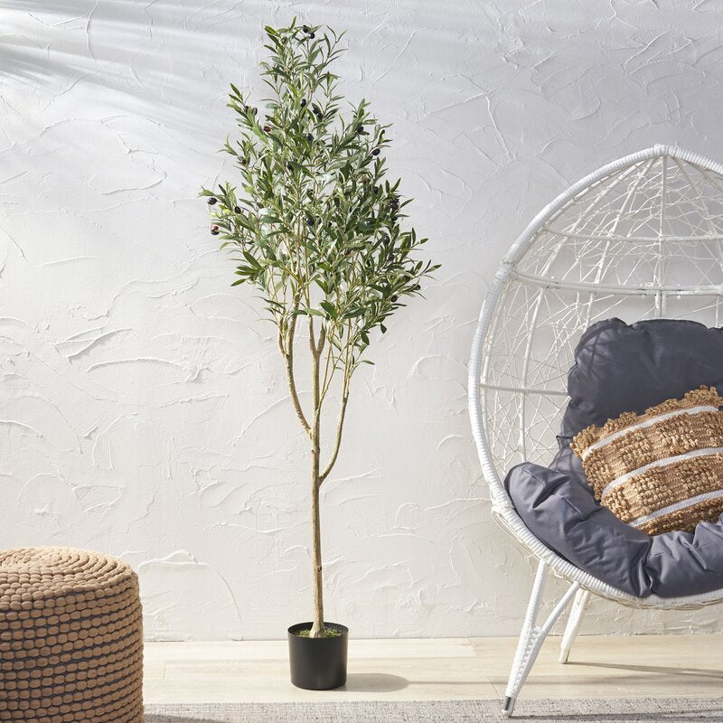 72" H x 24" W x 27" D Aarav Artificial Olive Tree in Pot CYB454