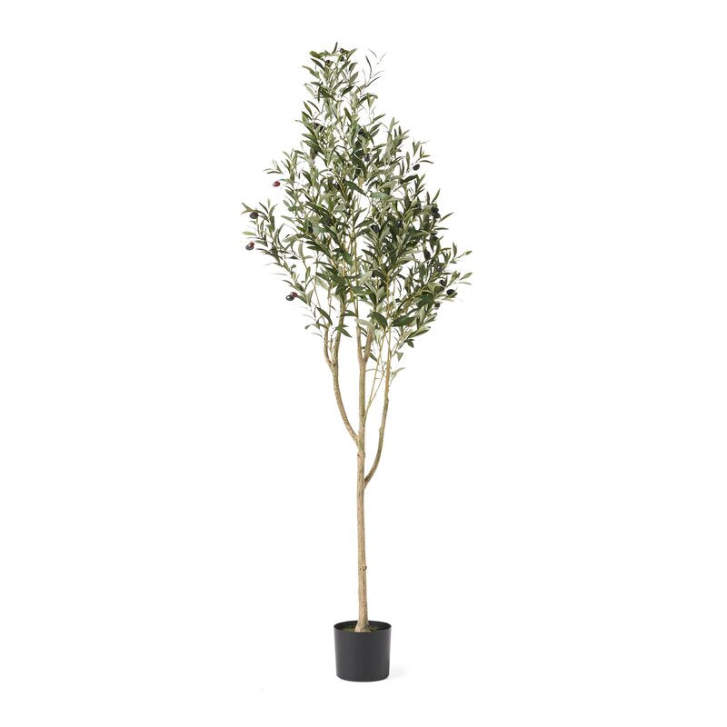 72" H x 24" W x 27" D Aarav Artificial Olive Tree in Pot CYB454