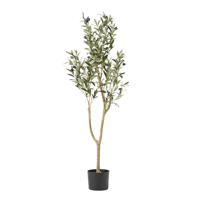 Aarav Artificial Olive Tree in Pot, 48" H x 19" W x 15" D