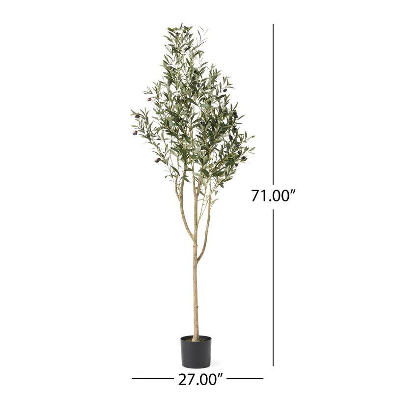 72" H x 24" W x 27" D Aarav Artificial Olive Tree in Pot CYB454