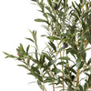 Aarav Artificial Olive Tree in Pot, 48