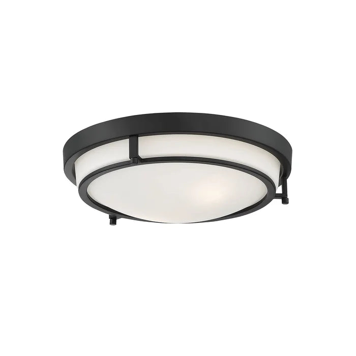 Aaru 2 - Light 13'' Simple Bowl Flush Mount