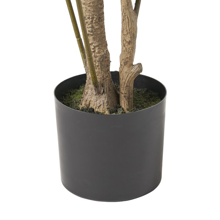 71" H x 29" W x 25" D Abernethy Faux Laurel Tree in Pot