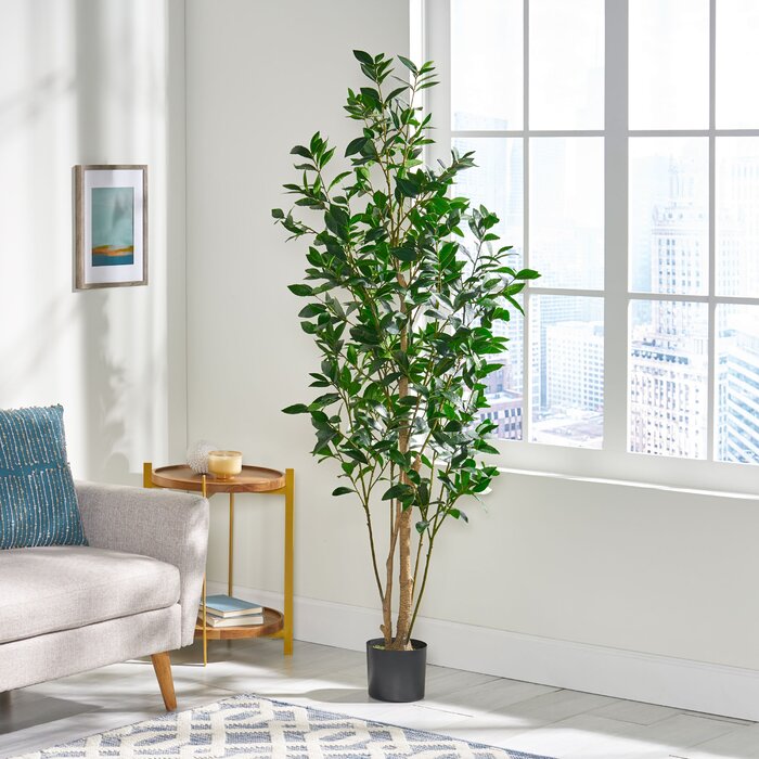 71" H x 29" W x 25" D Abernethy Faux Laurel Tree in Pot