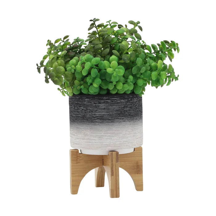 6" H x 5" W x 5" D Abrams Ceramic Pot Planter