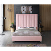 Alaysia Tufted  Upholstered Platform Bed (2 Boxes) CA245