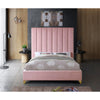 Alaysia Tufted  Upholstered Platform Bed (2 Boxes) CA245