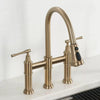Allyn Transitional Pull Down Bridge Faucet With Accessories