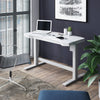 Analaura Electric Height Adjustable Standing Desk (#961)