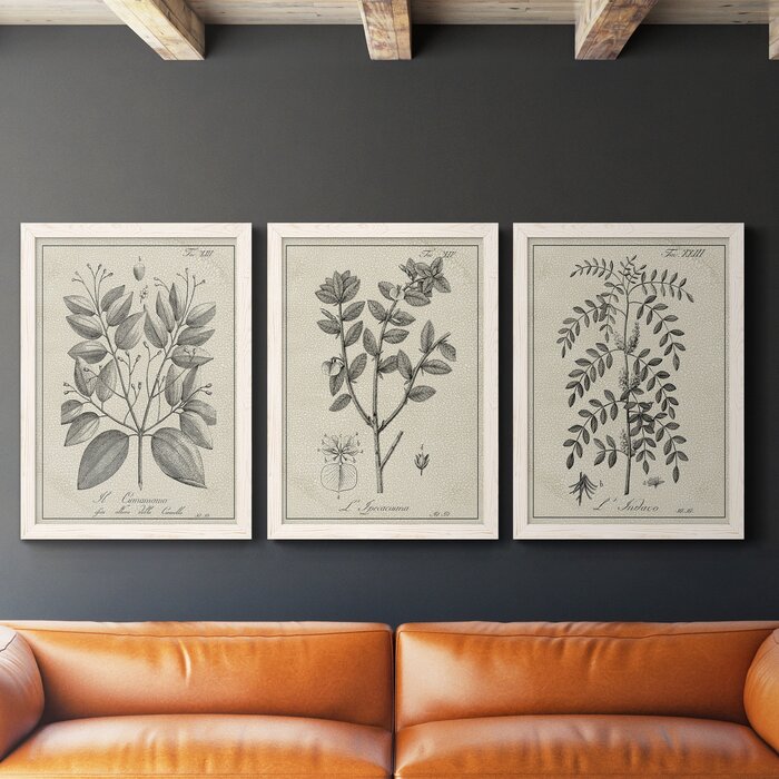 37.5" H x 82.5" W x 1.5" D Antique Black And White Botanical VII - 3 Piece Picture Frame Illustration on Canvas