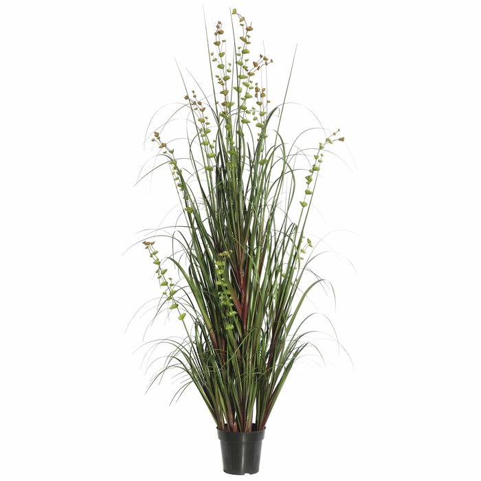 24" H x 12" W x 12" D Artificial Cedar Eucalyptus Grass in Pot QL294