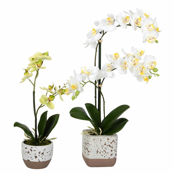 Set of 2 - Artificial Mini Phalaenopsis Floral Arrangement in Pot (#K4628)