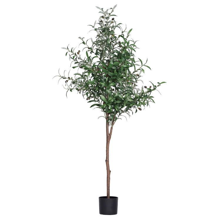 62" H x 23" W x 23" D Artificial Olive Tree In Pot