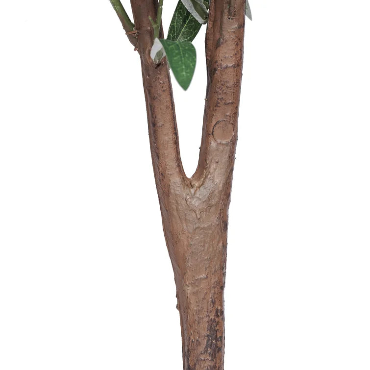 62" H x 23" W x 23" D Artificial Olive Tree In Pot