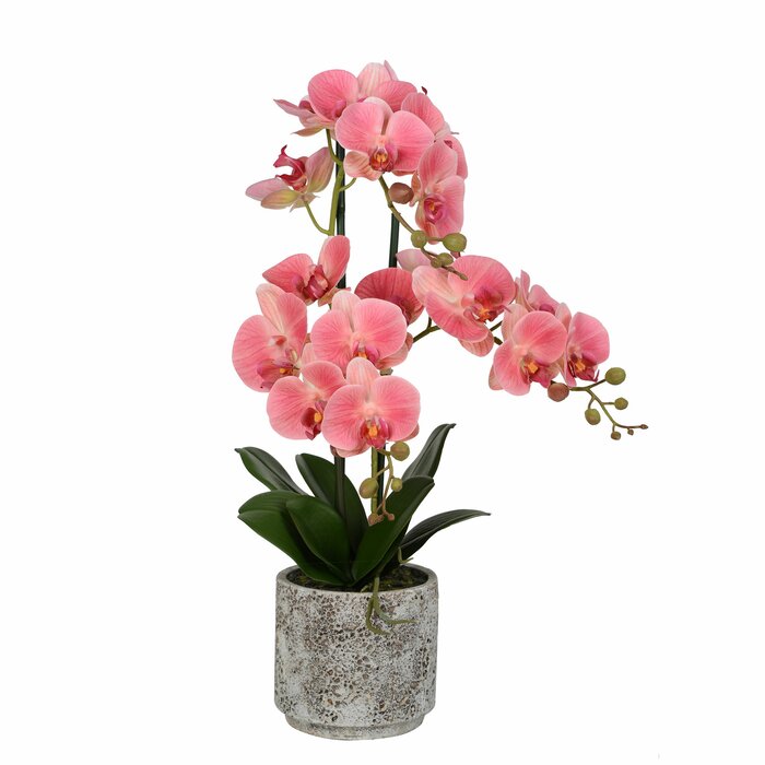 24" Artificial Phalaenopsis Orchids Floral Arrangement in Pot (#K5479)