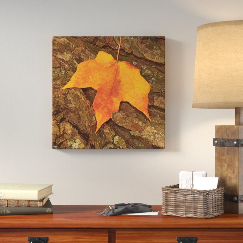 Autumn Leaf Leda Robertson - Wrapped Canvas Photograph LC607