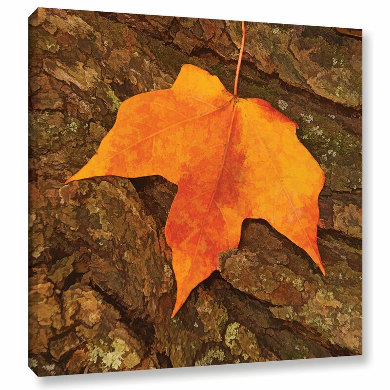 Autumn Leaf Leda Robertson - Wrapped Canvas Photograph LC607