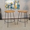 Axelle Solid Wood Counter Stool (Set of 2)