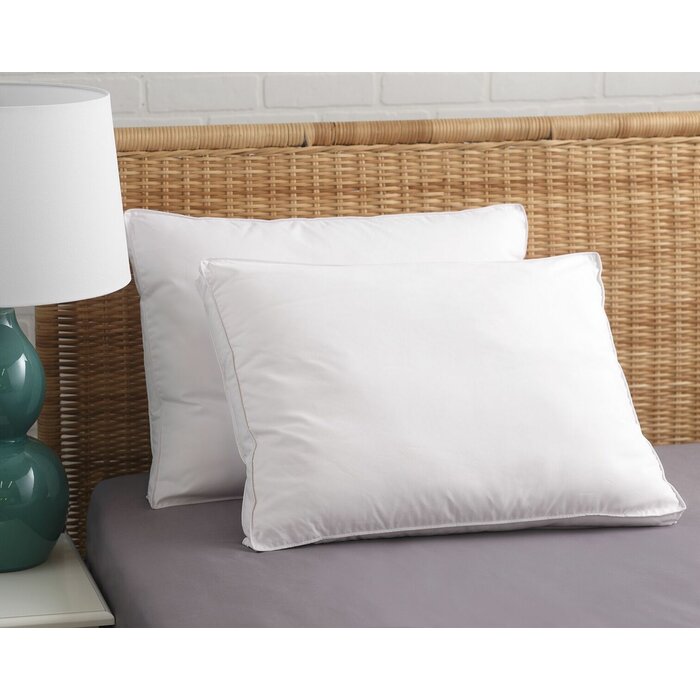 Aylin Down Alternative Plush Pillow, Standard