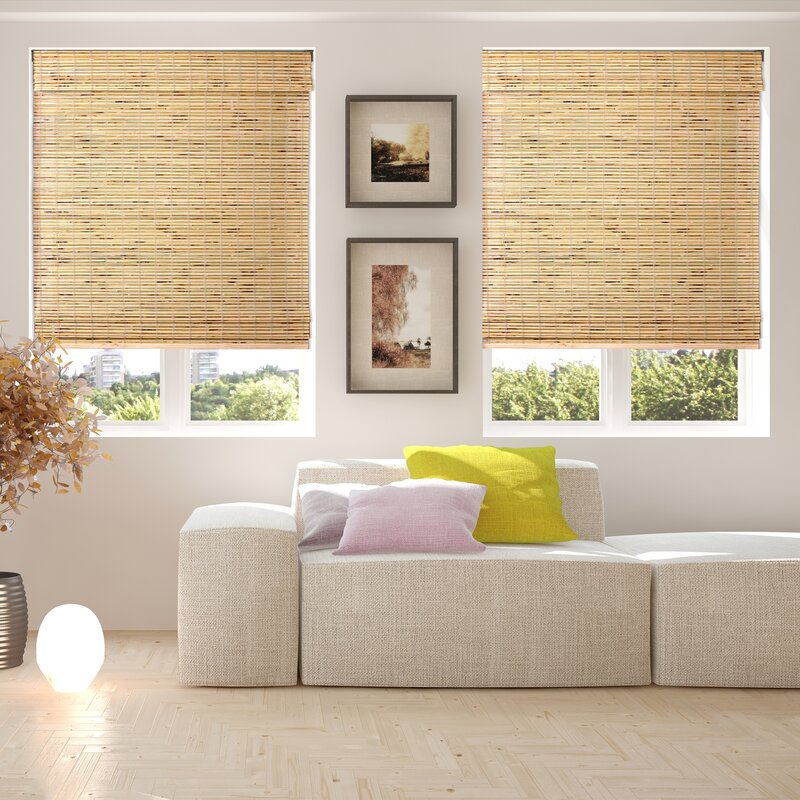 Aymeric Semi-Sheer Turtle Brown Roman Shade HAB300