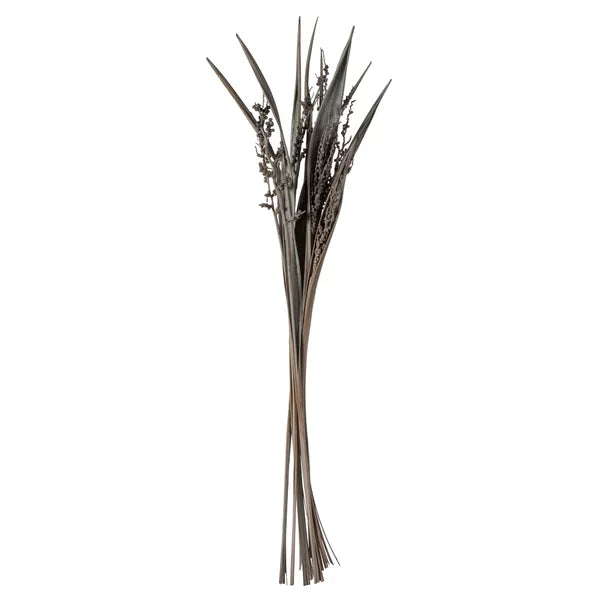 Bahia Spears Bush (Set of 18)