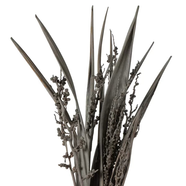 Bahia Spears Bush (Set of 18)