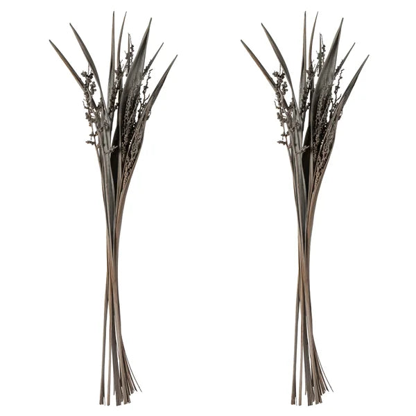 Bahia Spears Bush (Set of 18)