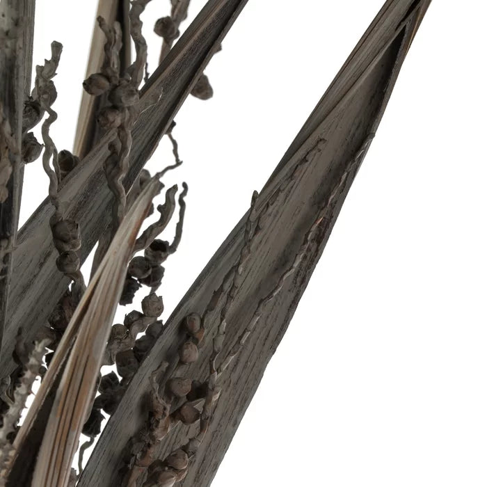 Bahia Spears Bush (Set of 18)