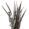 Bahia Spears Bush (Set of 18)