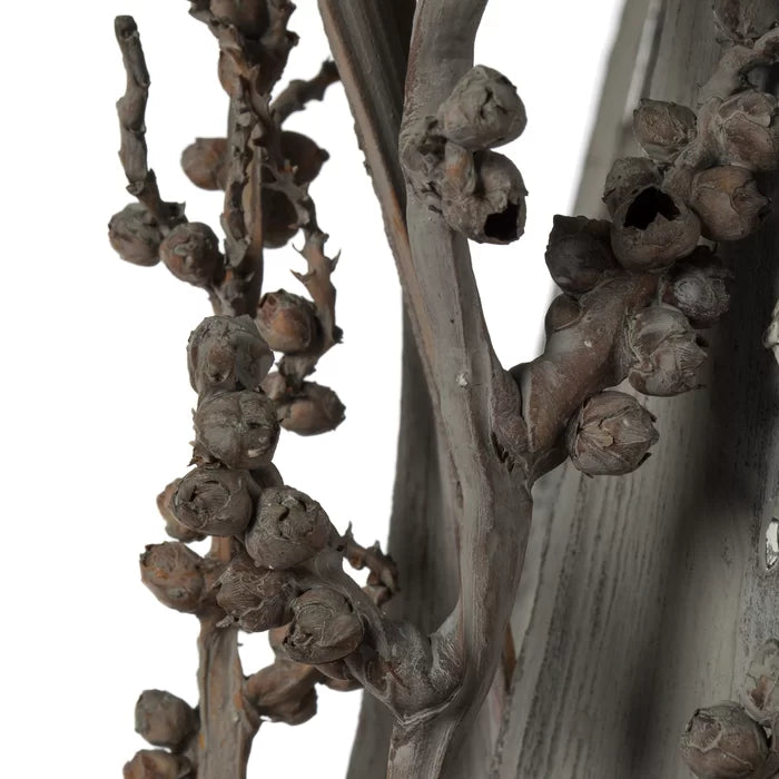 Bahia Spears Bush (Set of 18)