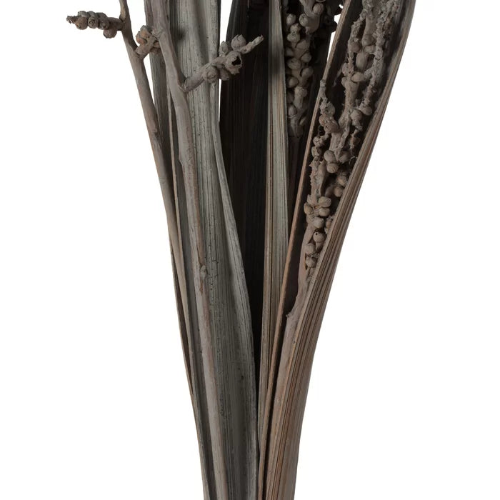 Bahia Spears Bush (Set of 18)