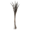 Bahia Spears Bush (Set of 18)