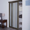 Baldarassario Glass Sliding Closet Door (8001)