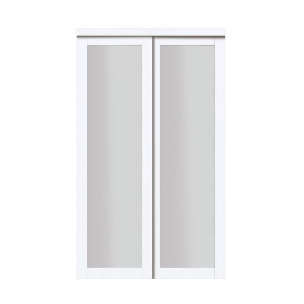 Baldarassario Glass Sliding Closet Door with Installation Hardware Kit pt697
