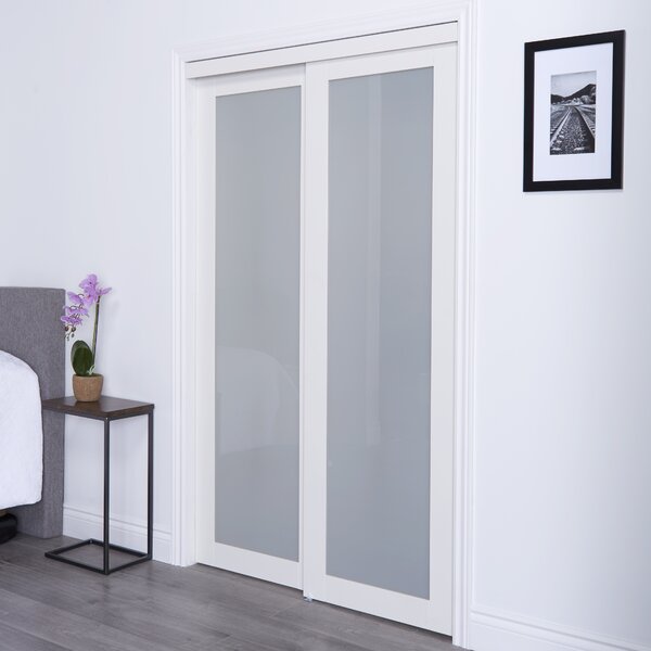 Baldarassario Glass Sliding Closet Door with Installation Hardware Kit pt697