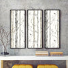 Ballywillin Birch Tree Peel and Stick 16.5' x 20.5