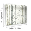 Ballywillin Birch Tree Peel and Stick 16.5' x 20.5